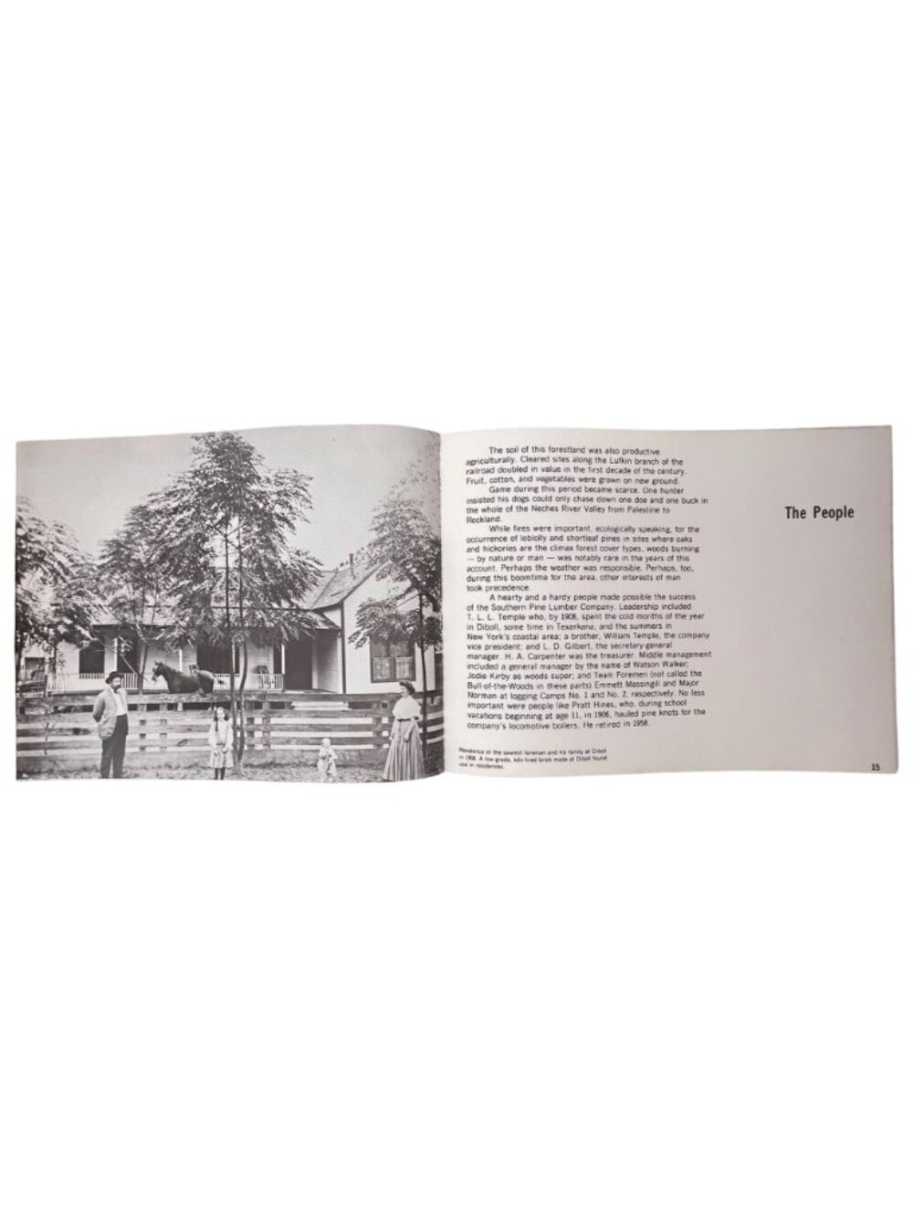 Axes Oxen & Men Pictorial History Southern Pine Lumber Co. East TX 1975 Forestry - Picture 10 of 14